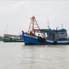 Kien Giang déploie des efforts inlassables pour le développement durable de la pêche hauturière. Photo : VNA