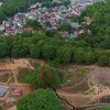 Une vue panoramique sur la colline A1. Photo : https://dienbientv.vn/