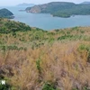 La baie de Dam Tre du Parc national de Con Dao. Photo : VNA