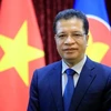 El embajador de Vietnam en Rusia, Dang Minh Khoi. (Foto: VNA)