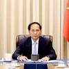 El viceprimer ministro y canciller de Vietnam, Bui Thanh Son. (Foto: VNA)