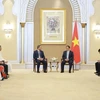 El primer ministro de Vietnam, Pham Minh Chinh, recibe a representantes de varias corporaciones líderes en los Emiratos Árabes Unidos. (Foto: VNA)