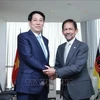 El presidente vietnamita, Luong Cuong, se reúne con el sultán de Brunei Darussalam, Hassanal Bolkiah. (Foto: VNA)