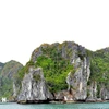 Las piedras calizas en la bahía de Ha Long (Fuente: VNA) 