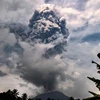 Le volcan Ibu. Photo : VNA