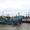 Des navires de pêche de Quang Tri. Photo : VNA
