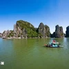 Baie d'Ha Long. Photo : VNA