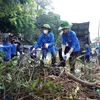 Hanoi launches citywide environmental cleanup campaign after typhoon