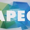 Vietnam affirms active, responsible role in APEC