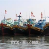 Binh Thuan's fishing vessels (Photo: VNA)