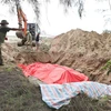 The whale carcass buried by local residents in Nghe An (Photo: VNA)