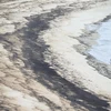 Oil spill on Siloso beach on June 15 (Photo: Xinhua/VNA)