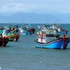 Vietnam's fishing boats (Photo: baochinhphu.vn)