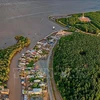 Ca Mau Cape seen from above (Photo: VNA)