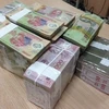 The State Bank of Vietnam sets the daily reference exchange rate at 24,261 VND/USD on July 22 (Photo: VNA)