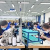 Workers at Tri-Viet International Co., Ltd., a 100% Japanese-owned company located at Tra Noc II Industrial Park, Can Tho city (Photo: qdnd.vn).