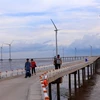 A Bac Lieu offshore wind farm (Photo: VNA)