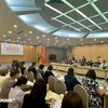 An overview of the dialogue (Photo: VietnamPlus)