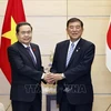 National Assembly Chairman Tran Thanh Man (L) meets with Prime Minister Ishiba Shigeru (Photo: VNA)