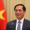 Deputy Prime Minister and Minister of Foreign Affairs Bui Thanh Son. (Photo: VNA)