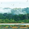 吉仙国家公园入选世界自然保护联盟绿色名录的 越南第一个国家公园