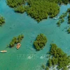 An aerial view of the Dam Bay mangrove forest in Nha Trang Bay in Khanh Hoa province. (Photo: VNA)
