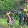 At the release of the python in Nghe An's Que Phong district on June 4 (Photo: VNA)