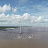 A coastal wind power project in Bac Lieu province. (Photo: VNA)