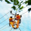 EVN workers check the transmission system. (Photo: VNA)