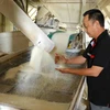 A worker checks the quality of wheat before it is packaged. (Photo: VNA) 