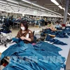 Making apparel products for export to Spain at the Ho Guom garment company in Hung Yen province (Photo: VNA) 