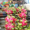 Dragon fruit cleaning line for export (Photo: VNA) 