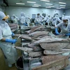 Processing frozen ocean tuna for export at the Binh Dinh Seafood JSC's plant. (Photo: VNA) 