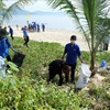 Collecting waste on a beach in the central region. (Photo: VNA)