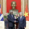 Top Vietnamese leader’s State visit to be new milestone in Vietnam-Cuba relations: Cuban journalist