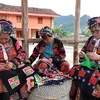 Women of the Lo Lo ethnic group in Ha Giang province skillfully embroider intricate patterns on traditional clothing. (Photo: VNA) 