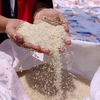 Indonesia considers importing 1 million tonnes of rice from India