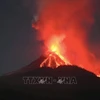 Mount Lewotobi Laki-Laki in East Flores, East Nusa Tenggara province, Indonesia, erupts on November 8, 2024. (Photo: Xinhua/VNA). 