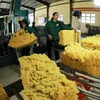 Processing rubber for export at the Chu Pah Rubber One Member Co Ltd factory in Gia Lai province. (Photo: VNA) 