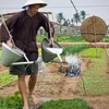 Tourists enjoy experiences at the Tra Que vegetable village in Hoi An, Quang Nam province. (Photo: VNA)