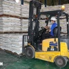 Customs data show that in the first half of November alone, the country exported 293,484 tonnes of rice. (Photo: VNA)