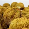 Vietnamese durians for export to China (Photo: VNA)