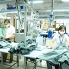 El sector textil y de prendas de vestir ve señales optimistas en mayo y los primeros cinco meses. (Foto: VNA)