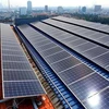 Se instalan paneles solares para garantizar un suministro de energía estable para la producción. (Foto: VNA)
