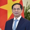 El ministro de Relaciones Exteriores, Bui Thanh Son. (Fuente: VNA)
