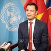 El embajador y jefe de la delegación permanente de Vietnam ante la ONU, Dang Hoang Giang. (Fuente: VNA)