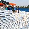 El arroz es el producto que ocupa mayor proporción en la estructura de las exportaciones de Vietnam a Cuba. (Fuente: VNA)