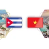 Relaciones de solidaridad tradicional y amistad especial entre Vietnam y Cuba