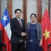 El presidente de Vietnam, Luong Cuong, (I) se reúne con la presidenta de la Cámara de Diputadas y Diputados de Chile, Karol Cariola. (Fuente: VNA)