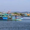 Ba Ria - Vung Tau lance une nouvelle campagne de lutte contre la pêche INN. Photo: VNA